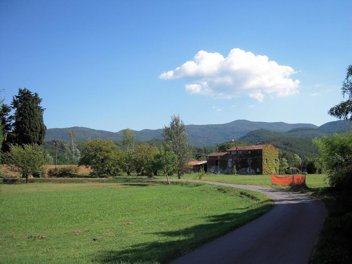 Al Cascinale Villa ลุคคา ภายนอก รูปภาพ
