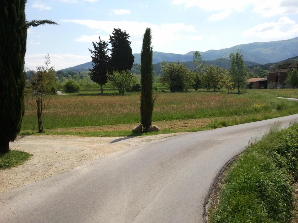 Al Cascinale Villa ลุคคา ภายนอก รูปภาพ